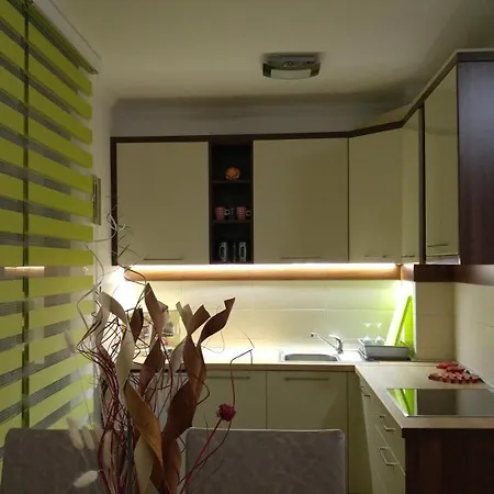 Mountain Apartment